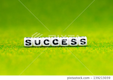 SUCCESS alphabet beads 139213039