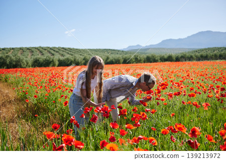 Couple Enjoying Sunny Day in Poppy Field With Mountains and Olive Groves 139213972