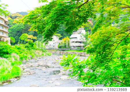 The lush greenery of Hakone Onsen town and the clear waters of the Hayakawa River The lush greenery of Hakone Onsen town and the clear waters of the Hayakawa River 139213989