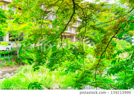 The lush greenery of Hakone Onsen town and the clear waters of the Hayakawa River The lush greenery of Hakone Onsen town and the clear waters of the Hayakawa River 139213990