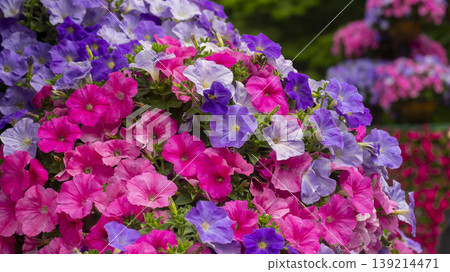 Goyang International Flower Exhibition 139214471