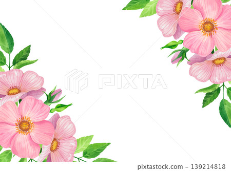 Delicate pink rose hips and vibrant greenery, a watercolor horizontal frame. Colorful garden flowers with vibrant pastel leaves. Hand drawn greenery for floral cards, invitations, and banners. Delicate pink rose hips and vibrant greenery, a watercolor horizontal frame. Colorful garden flowers with vibrant pastel leaves. Hand drawn greenery for floral cards, invitations, and banners. 139214818