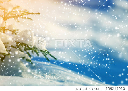 Spruce tree branch with green needles covered with deep snow and hoarfrost and large snowflakes on blurred blue colorful copy space background. Merry Christmas and Happy New Year greeting card. Spruce tree branch with green needles covered with deep snow and hoarfrost and large snowflakes on blurred blue colorful copy space background. Merry Christmas and Happy New Year greeting card. 139214910