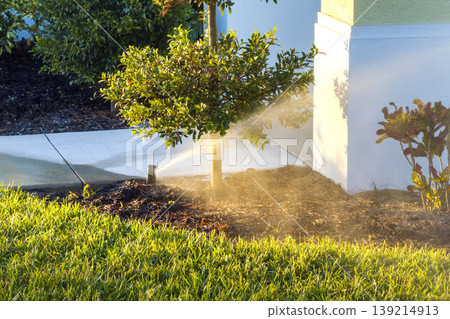 Sprinkler irrigating grass lawn with water in summer garden. Watering green vegetation during dry season for maintaining it fresh Sprinkler irrigating grass lawn with water in summer garden. Watering green vegetation during dry season for maintaining it fresh 139214913