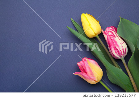 Bouquet of tulips on a dark blue background. Space for text Bouquet of tulips on a dark blue background. Space for text 139215577