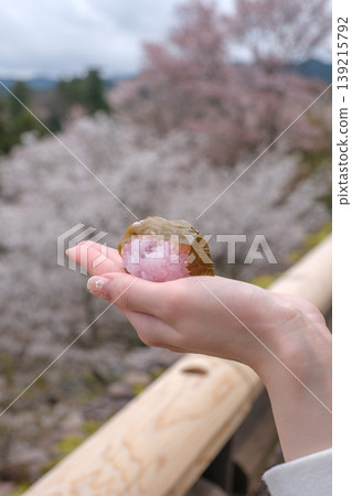 A close-up of a sakura mochi wrapped in a salted cherry leaf, held in a woman's palm, with cherry blossoms in the background. A close-up of a sakura mochi wrapped in a salted cherry leaf, held in a woman's palm, with cherry blossoms in the background. 139215792