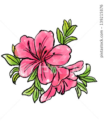 手繪線條畫和水彩插圖，描繪了盛開的杜鵑花。 139215876
