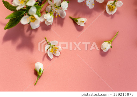 fresh spring branch with flowers on soft pink backdrop fresh spring branch with flowers on soft pink backdrop 139215973
