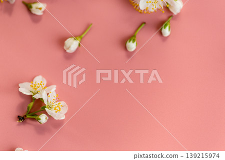 elegant blooming flowers composition with soft light pink backdrop elegant blooming flowers composition with soft light pink backdrop 139215974