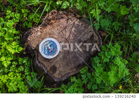 Magnetic compass on mossy tree stump surrounded by green plants in forest Magnetic compass on mossy tree stump surrounded by green plants in forest 139216240