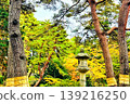 Bell tower wrapped in autumn leaves 139216250