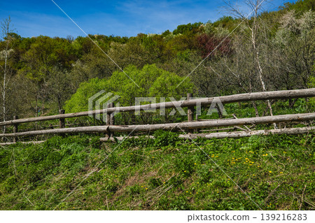 Green hillside slope with wooden fence and bare tree 139216283