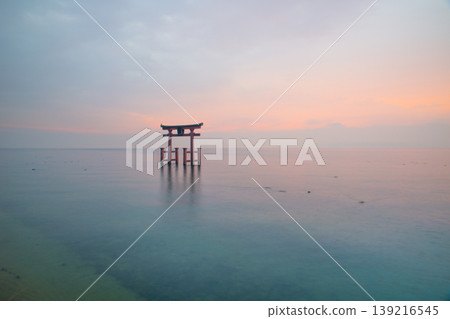 白須神社的大鳥居和琵琶湖上的日出 139216545