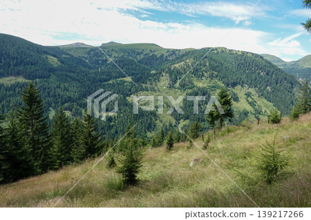 Scenic Mountain Landscape with Lush Forest and Grassy Valley, a Perfect Outdoor Escape Scenic Mountain Landscape with Lush Forest and Grassy Valley, a Perfect Outdoor Escape 139217266