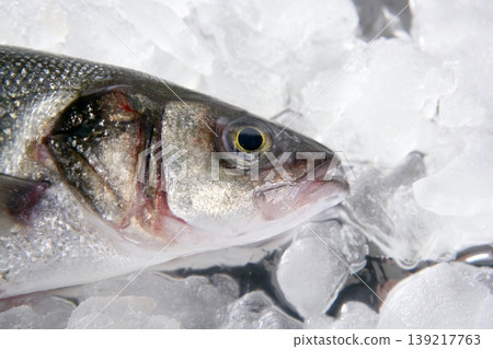seabass fish  on ice 139217763
