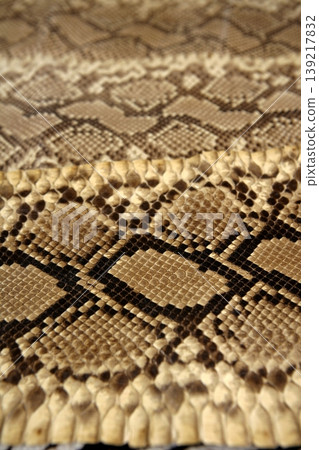 Background snake skin pattern brown Background snake skin pattern brown 139217832