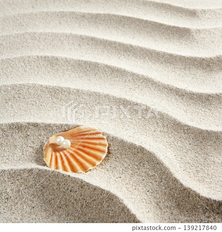 beach white sand pearl shell clam macro beach white sand pearl shell clam macro 139217840