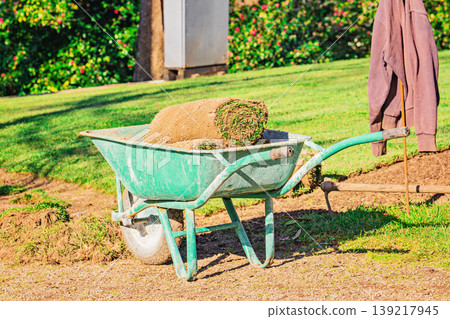 Green wheelbarrow holding single turf roll beside rake with hanging jacket, green lawn and flowering shrubs in sunny background 139217945