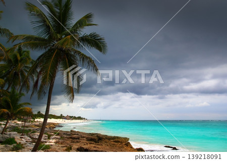 Caribbean stormy day palm trees in Tulum Mexico Caribbean stormy day palm trees in Tulum Mexico 139218091