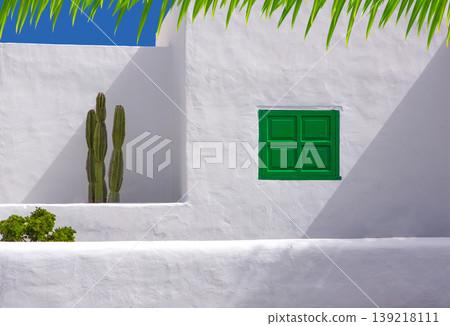 Lanzarote san Bartolome white typical cactus house 139218111