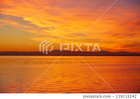 La Albufera lake sunset in El Saler of Valencia La Albufera lake sunset in El Saler of Valencia 139218242