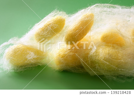 silkworm cocoon many on silk worm net silkworm cocoon many on silk worm net 139218428