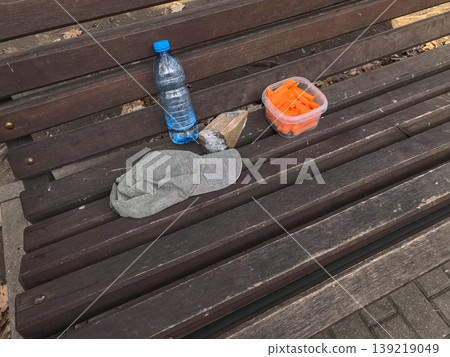 Healthy picnic lunch on a wooden park bench Healthy picnic lunch on a wooden park bench 139219049