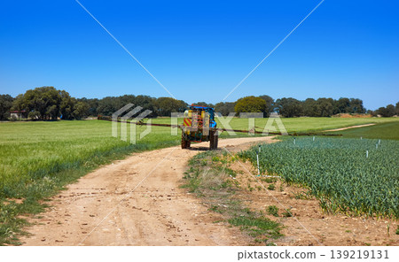 Fumigation tractor in cereal and onion field Fumigation tractor in cereal and onion field 139219131