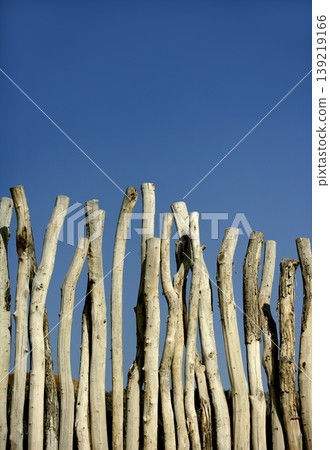 Wooden wall made of wood trunks 139219166