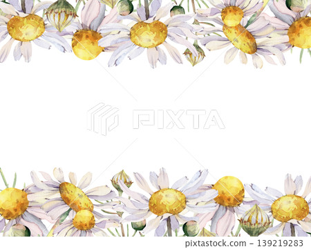 Watercolor floral border featuring white daisies (chamomile) and delicate green buds. Horizontal botanical frame for wedding invitations, summer greeting cards, organic cosmetic packaging, and herbal Watercolor floral border featuring white daisies (chamomile) and delicate green buds. Horizontal botanical frame for wedding invitations, summer greeting cards, organic cosmetic packaging, and herbal 139219283