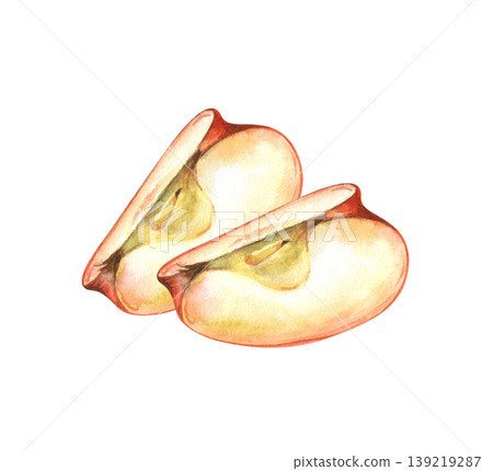 Watercolor illustration of two fresh red apple slices. Isolated on a white background. Ideal for healthy food packaging, recipe books, kitchen art, organic juice labels, and educational botanical 139219287