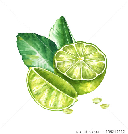 A vibrant botanical watercolor illustration featuring a lime cut in half, a juicy wedge, and fresh green leaves..Small citrus seeds are included to complete the natural food composition. This high A vibrant botanical watercolor illustration featuring a lime cut in half, a juicy wedge, and fresh green leaves..Small citrus seeds are included to complete the natural food composition. This high 139219312