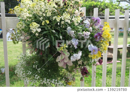 Flowers decorating the fence at Akebonoyama Agricultural Park Flowers decorating the fence at Akebonoyama Agricultural Park 139219780