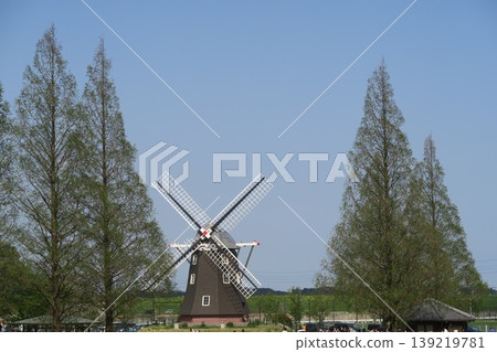 The landscape with windmills is a characteristic feature of Akebonoyama Agricultural Park. 139219781