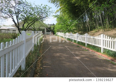 A walkway surrounded by trees and a white fence A walkway surrounded by trees and a white fence 139219827