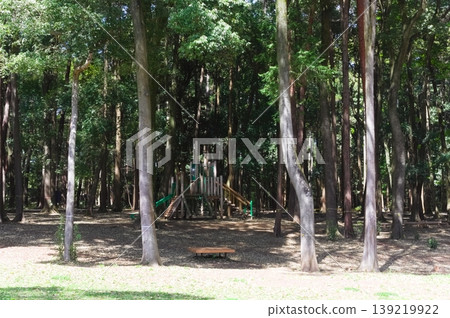 2026年4月,千葉縣柏市手賀之丘公園附近 2026年4月,千葉縣柏市手賀之丘公園附近 139219922