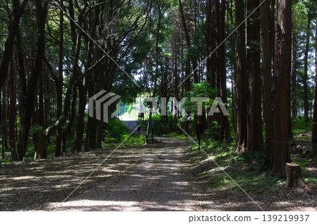 2026年4月,千葉縣柏市手賀之丘公園附近 2026年4月,千葉縣柏市手賀之丘公園附近 139219937