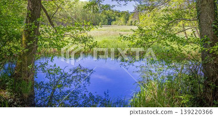 Wetland pond framed by trees in Moenchbruch Germany Wetland pond framed by trees in Moenchbruch Germany 139220366