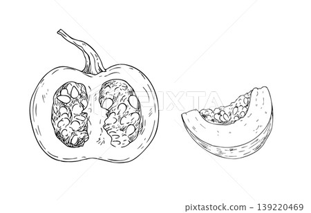 Vector pumpkin with seeds, graphic hand drawn isolated illustration. Halloween autumn vegetable perfect for harvest and thanksgiving themes. Isolated botanical illustration for seasonal food and Vector pumpkin with seeds, graphic hand drawn isolated illustration. Halloween autumn vegetable perfect for harvest and thanksgiving themes. Isolated botanical illustration for seasonal food and 139220469
