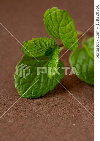 Fresh Mint Leaves Resting on a Textured Brown Surface Fresh Mint Leaves Resting on a Textured Brown Surface 139220956