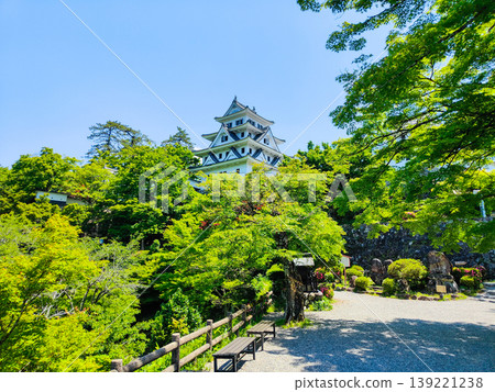 郡上八幡城 郡上八幡城 139221238