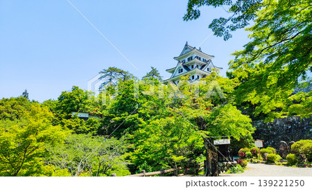 Gujo Hachiman Castle Gujo Hachiman Castle 139221250
