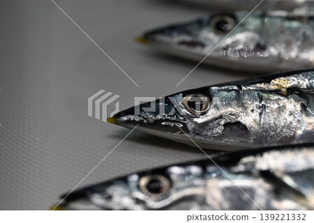 Fresh raw saury, a taste of autumn Fresh raw saury, a taste of autumn 139221332