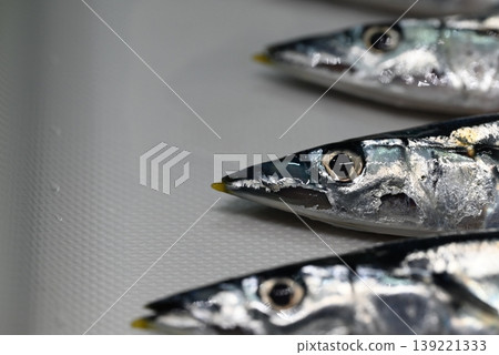 鮮嫩的生秋刀魚,秋天的味道 鮮嫩的生秋刀魚,秋天的味道 139221333