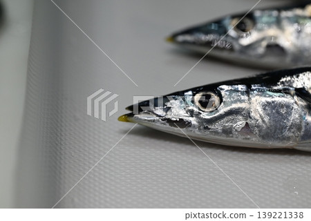 鮮嫩的生秋刀魚,秋天的味道 鮮嫩的生秋刀魚,秋天的味道 139221338