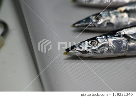鮮嫩的生秋刀魚,秋天的味道 鮮嫩的生秋刀魚,秋天的味道 139221340