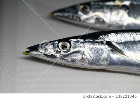 Fresh raw saury, a taste of autumn Fresh raw saury, a taste of autumn 139221346