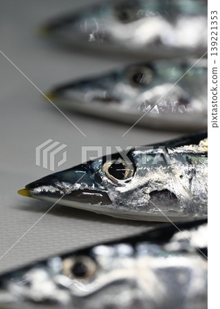 Fresh raw saury, a taste of autumn Fresh raw saury, a taste of autumn 139221353