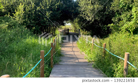 Point of view shot of riding a bicycle 139221658