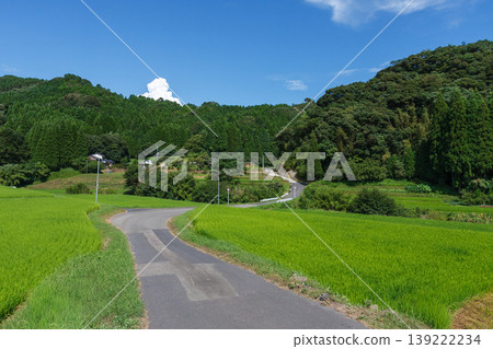 日本鄉村景觀(稻田和山脈,S形道路,留有空白區域) 日本鄉村景觀(稻田和山脈,S形道路,留有空白區域) 139222234